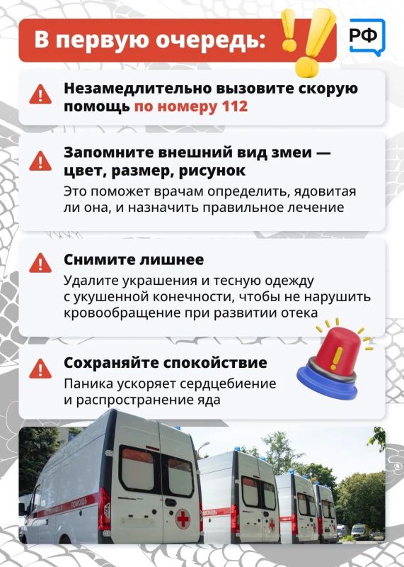В Ленобласти сезон «тихой охоты» в самом в разгаре В Ленобласти сезон «тихой охоты» в самом в разгаре