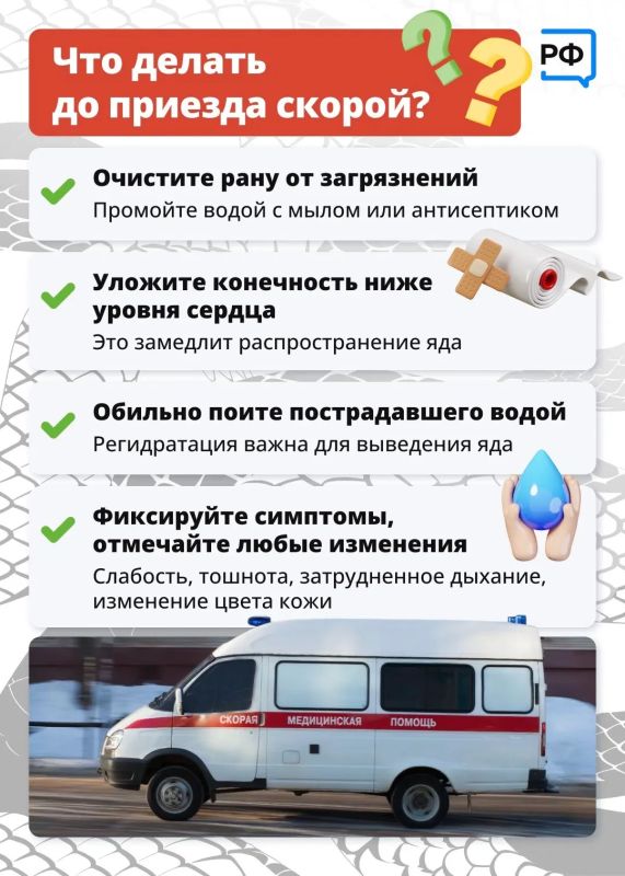 В Ленобласти сезон «тихой охоты» в самом в разгаре В Ленобласти сезон «тихой охоты» в самом в разгаре