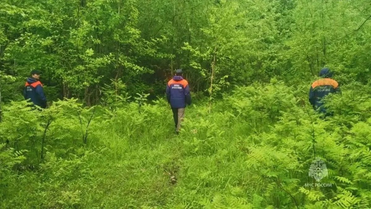 За прошедшую неделю подразделения территориального пожарно-спасательного гарнизона Ленинградской области реагировали на 145 оперативных событий: За прошедшую неделю подразделения территориального пожарно-спасательного гарнизона Ленинградской области реагировали на 145 оперативных событий: