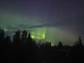 Петербуржцы и жители Ленобласти делятся красивыми фото северного сияния