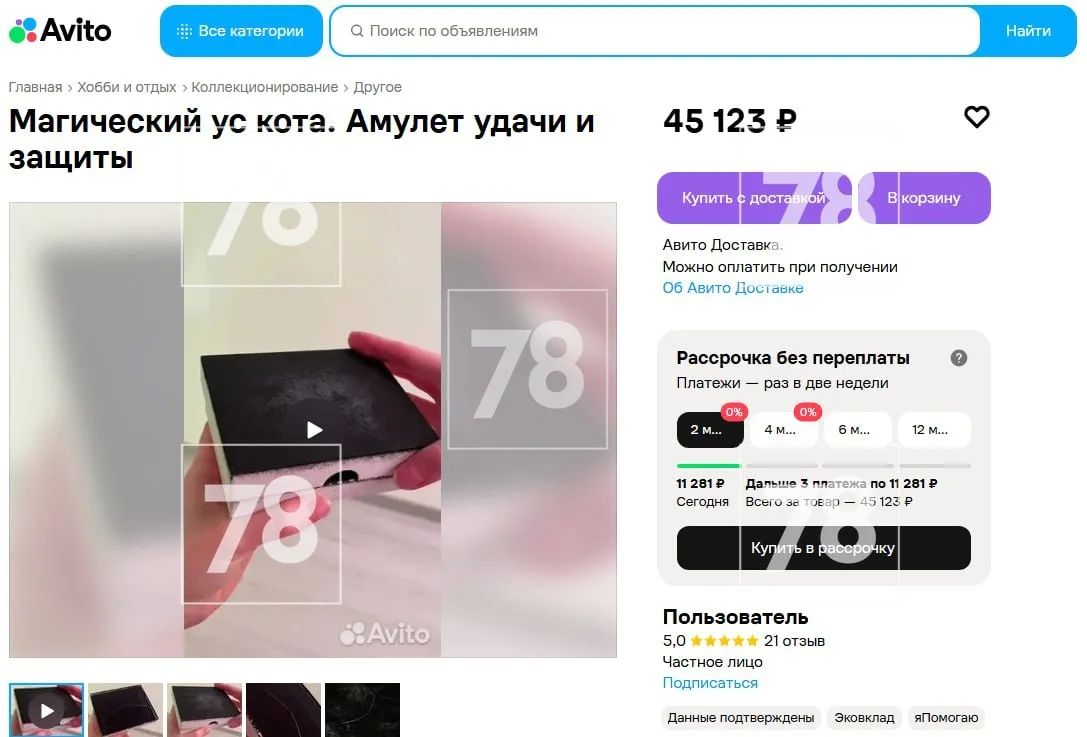 «Магический след»: породистые кошки исчезают во Всеволожском районе «Магический след»: породистые кошки исчезают во Всеволожском районе