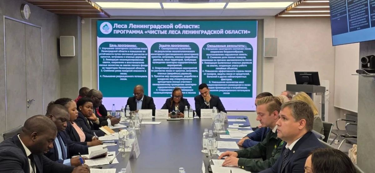 Ленинградская область и Танзания: лесной опыт без границ Ленинградская область и Танзания: лесной опыт без границ