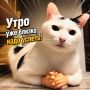 Утро уже близко, а мы всё ещё не спим!