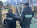 Госэконадзор проверил канализационную насосную станцию № 5 в Янино на Голландской улице
