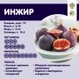 Инжир — природный помощник для пищеварения и сердца