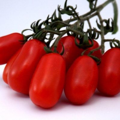Томат Чефалу: как вырастить деликатес для зимних заготовок