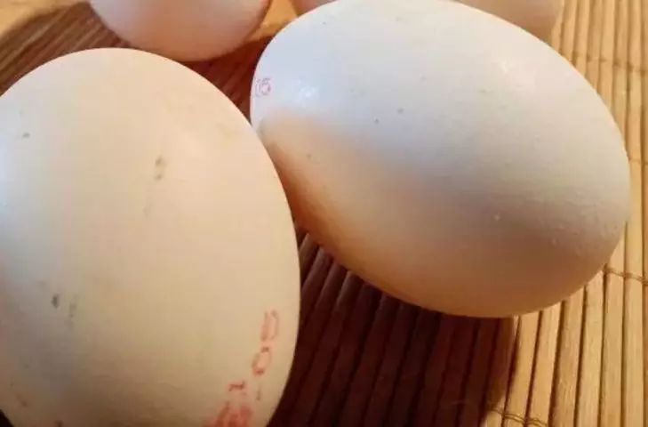 Как легко и быстро очистить вареное яйцо: 5 простых способов