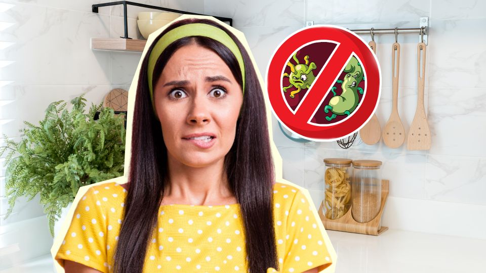 Вы вечно забываете мыть эти 5 предметов на кухне: настоящий рассадник заразы