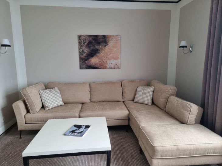 Сухая чистка дивана: это средство вычистит даже самые мелкие ворсинки – работа на 15 минут