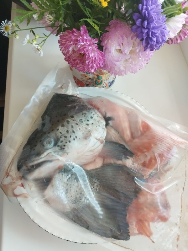 Искусство хранения супов: секреты и технологии