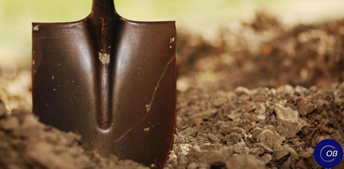 Копка почвы осенью: нужда или миф?