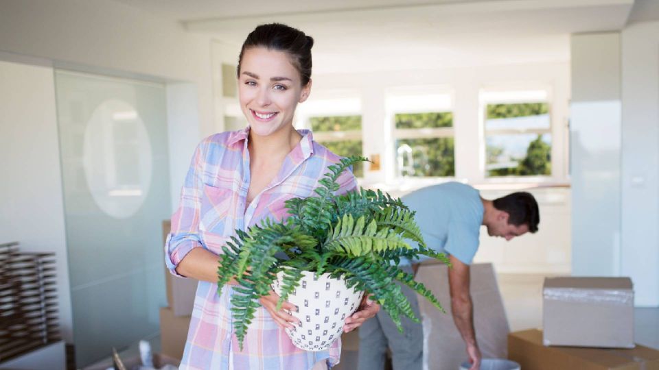 Домашний папоротник разрастется как бешеный: не все знают особенности ухода за цветком