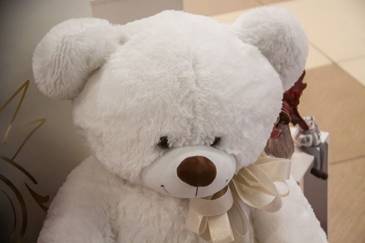 Аллергии больше не будет: как надежно избавиться от пылевого клеща в мягких игрушках