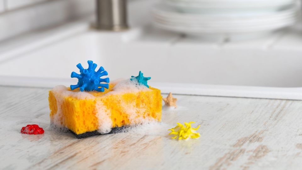 Это самая частая ошибка: вот когда надо выбросить губку для посуды