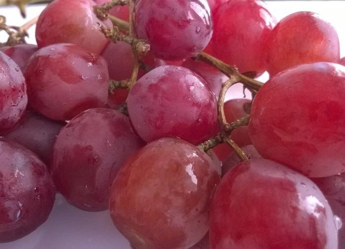 Как успешно укоренить черенки винограда зимой: практическое руководство